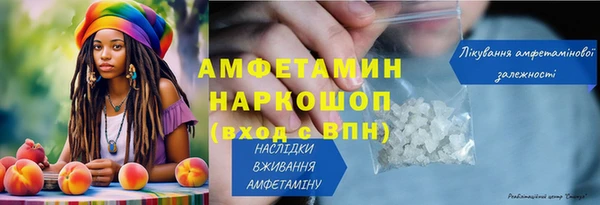 прущие грибы Бородино