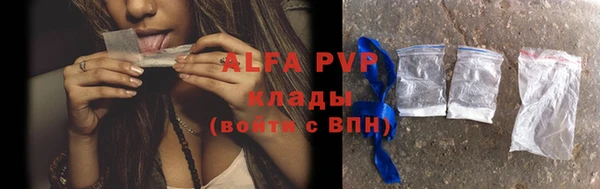 прущие грибы Бородино