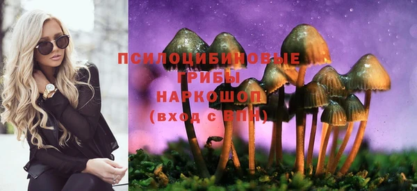 прущие грибы Бородино