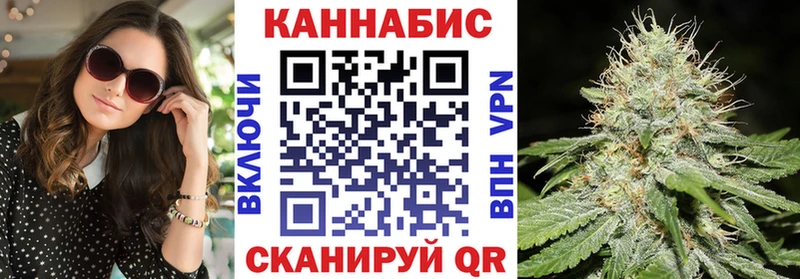 Канабис SATIVA & INDICA Новосокольники